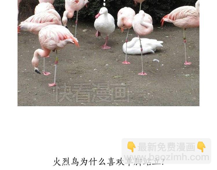 绘心一笑韩漫全集-斗舞无删减无遮挡章节图片 