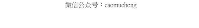 绘心一笑韩漫全集-卖糕的师傅无删减无遮挡章节图片 