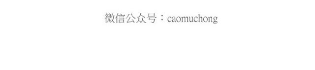 绘心一笑韩漫全集-卖糕的师傅无删减无遮挡章节图片 