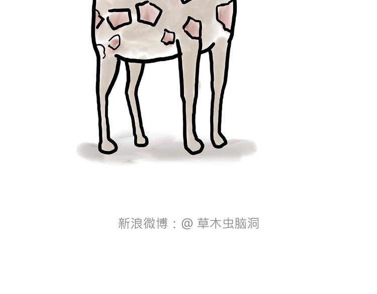 绘心一笑韩漫全集-拖马师无删减无遮挡章节图片 