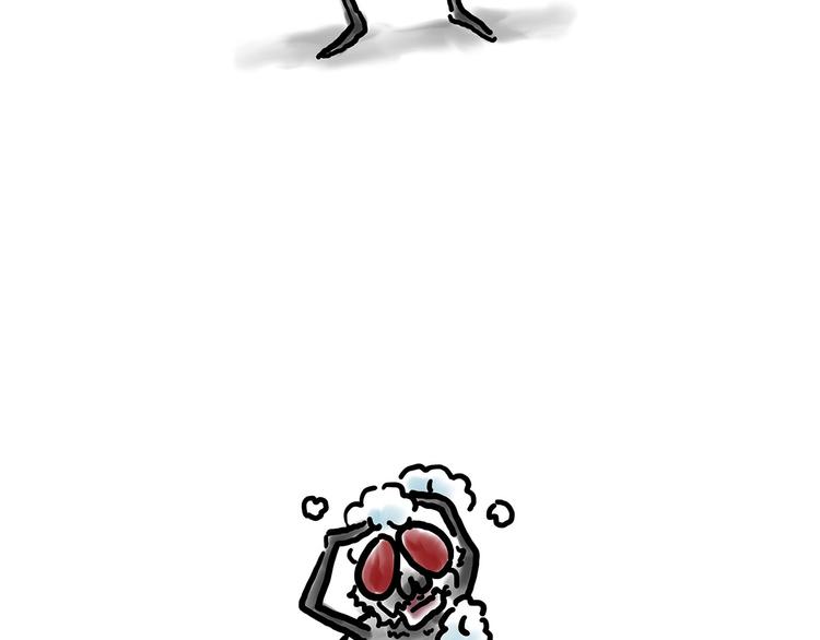 绘心一笑韩漫全集-拖马师无删减无遮挡章节图片 