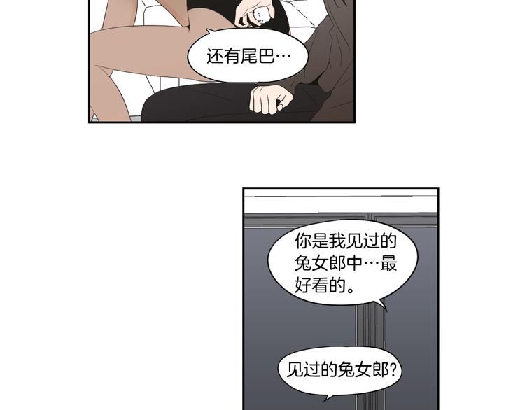 狐狸在说什么？韩漫全集-番外1完结篇 情人节无删减无遮挡章节图片 