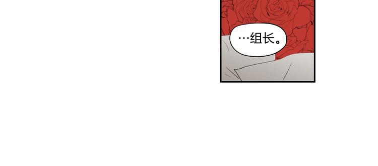 狐狸在说什么？韩漫全集-番外1完结篇 情人节无删减无遮挡章节图片 