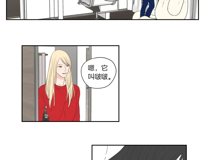 狐狸在说什么？韩漫全集-第67话 重新来过吧无删减无遮挡章节图片 