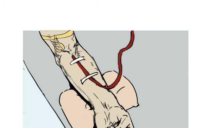 互撸大漫画韩漫全集-211 献血无删减无遮挡章节图片 