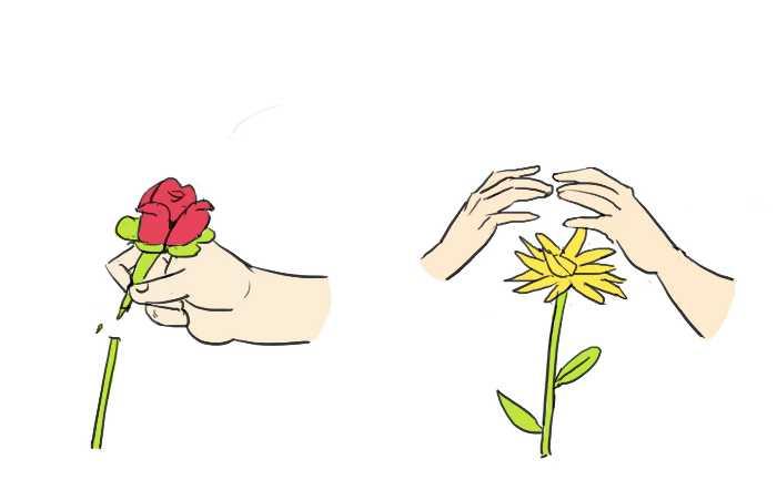 互撸大漫画韩漫全集-214 喜欢与爱无删减无遮挡章节图片 