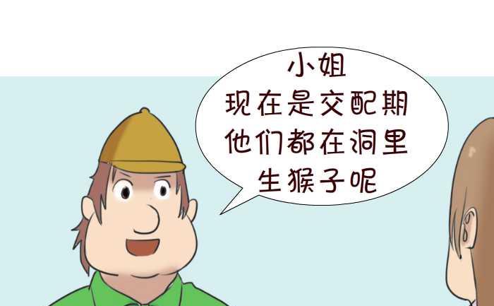 互撸大漫画韩漫全集-76 动物园无删减无遮挡章节图片 