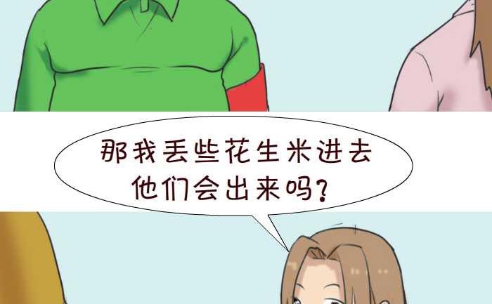 互撸大漫画韩漫全集-76 动物园无删减无遮挡章节图片 