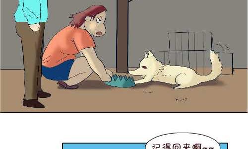 互撸大漫画韩漫全集-96 报恩无删减无遮挡章节图片 