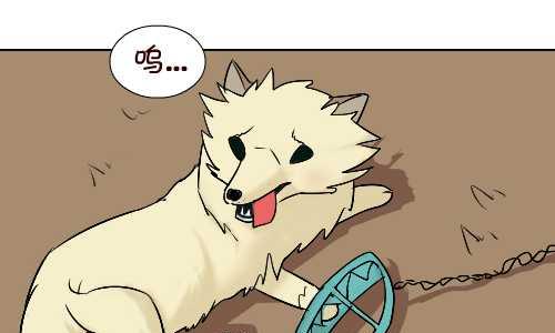 互撸大漫画韩漫全集-96 报恩无删减无遮挡章节图片 