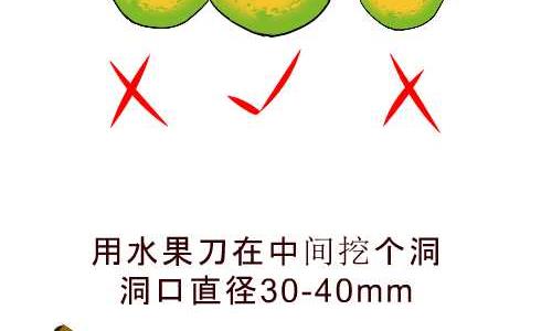 互撸大漫画韩漫全集-98 橙子妙用无删减无遮挡章节图片 