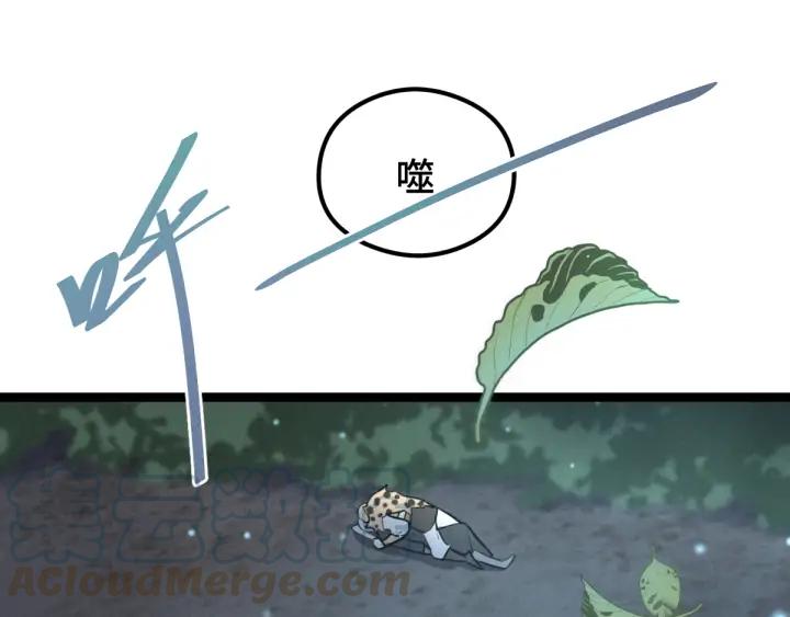 魂兵之戈韩漫全集-第81话 重要的人（上）无删减无遮挡章节图片 