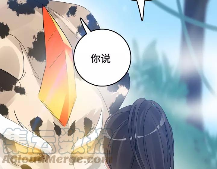 魂兵之戈韩漫全集-第58话 虞人殊的秘密（下）无删减无遮挡章节图片 