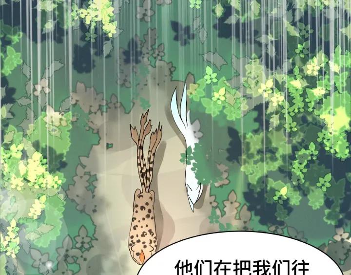魂兵之戈韩漫全集-第61话 包围圈（上）无删减无遮挡章节图片 