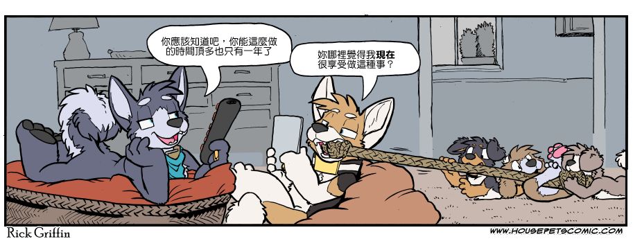家宠韩漫全集-第1132话无删减无遮挡章节图片 