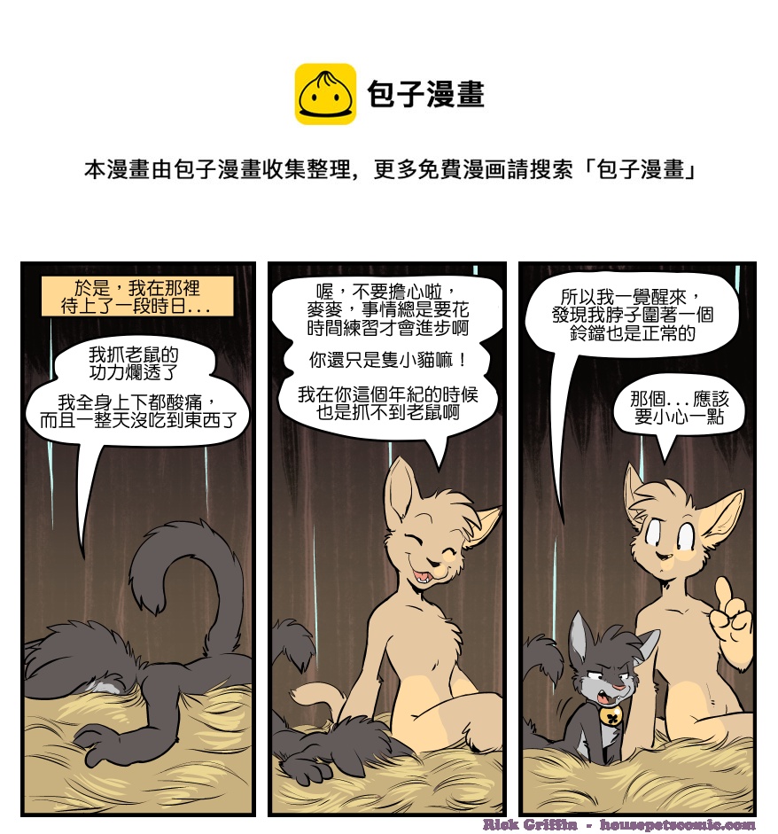 家宠韩漫全集-第1502话无删减无遮挡章节图片 