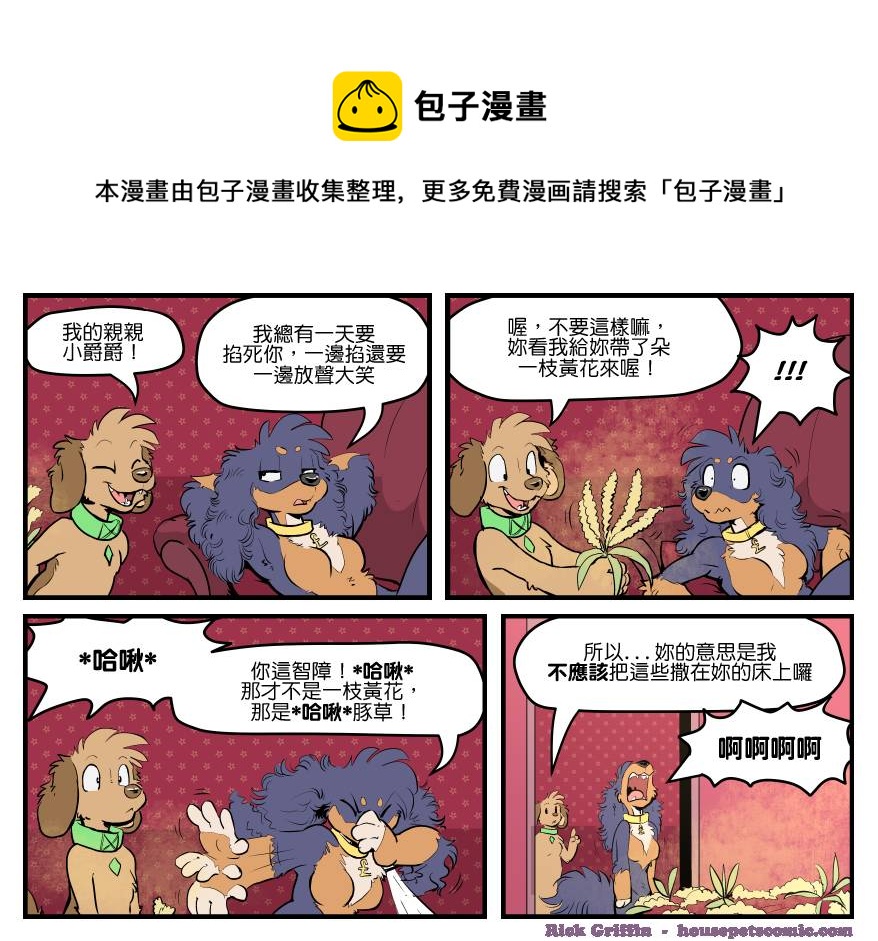 家宠韩漫全集-第1537话无删减无遮挡章节图片 