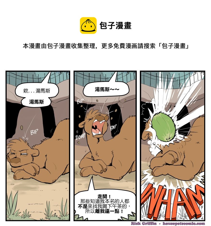 家宠韩漫全集-第1603话无删减无遮挡章节图片 