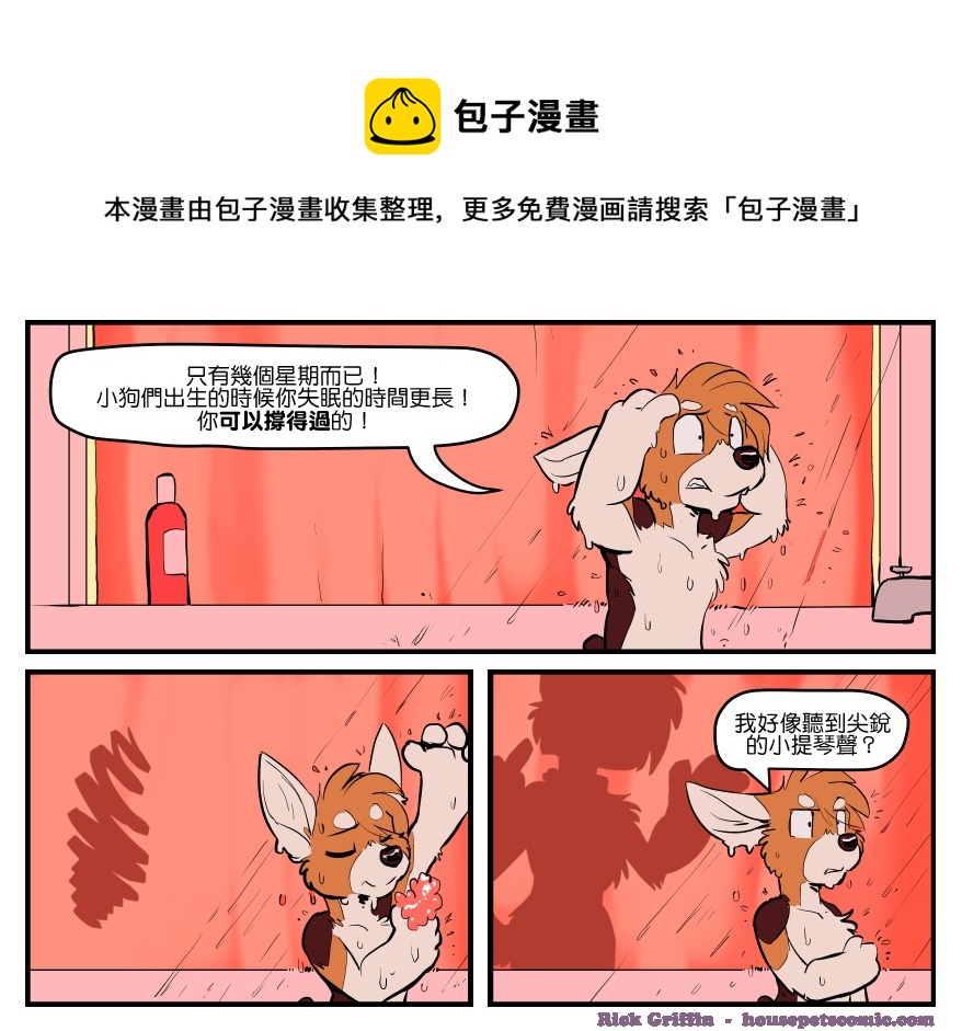 家宠韩漫全集-第1649话无删减无遮挡章节图片 