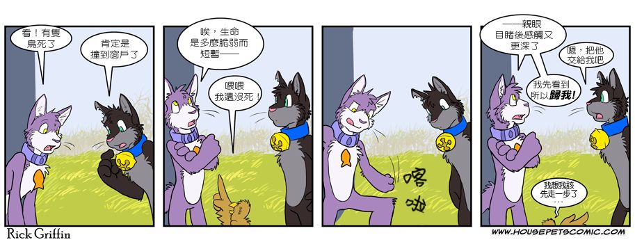 家宠韩漫全集-第03卷无删减无遮挡章节图片 