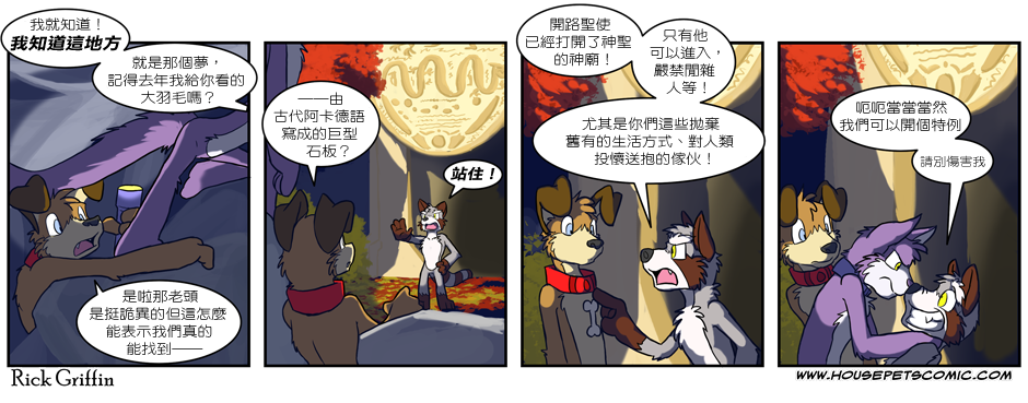 家宠韩漫全集-第203话无删减无遮挡章节图片 