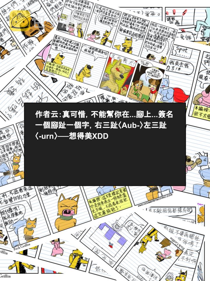 家宠韩漫全集-第351话无删减无遮挡章节图片 