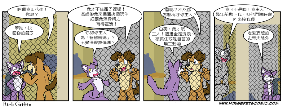 家宠韩漫全集-第503话无删减无遮挡章节图片 