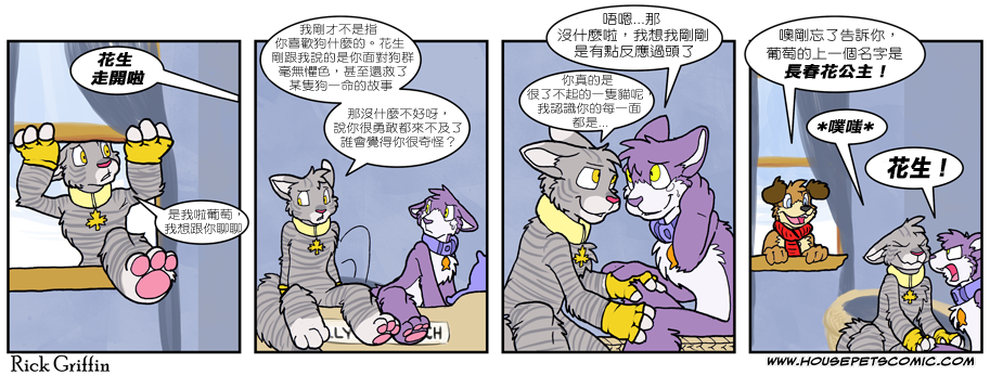 家宠韩漫全集-第516话无删减无遮挡章节图片 