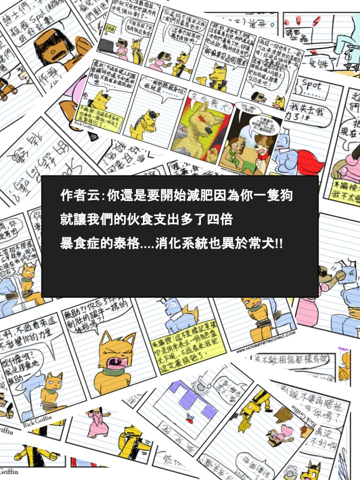 家宠韩漫全集-第561话无删减无遮挡章节图片 