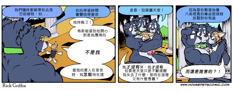 家宠韩漫全集-第856话无删减无遮挡章节图片 