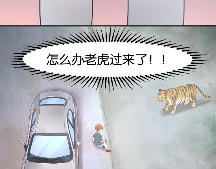 捡到只小狐狸韩漫全集-第12话 掉到老虎窝里了！无删减无遮挡章节图片 