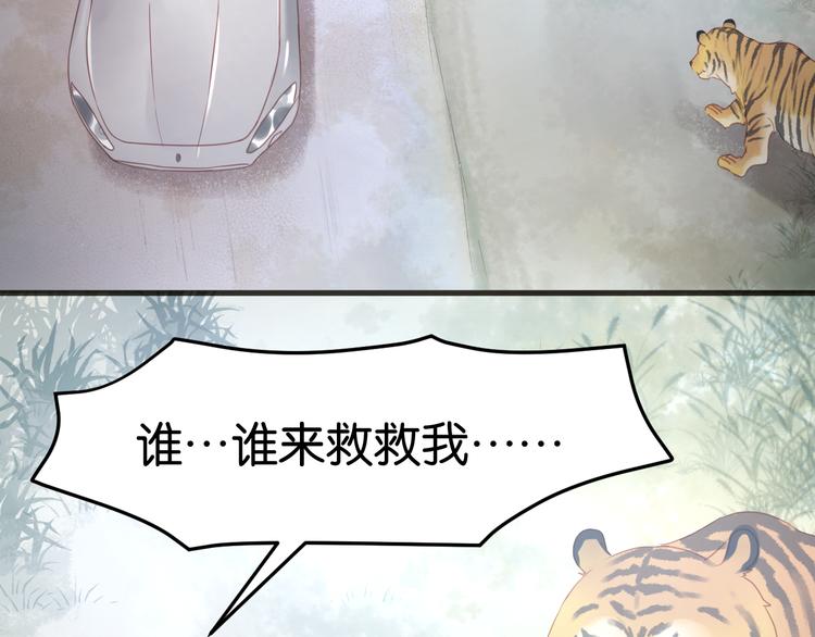 捡到只小狐狸韩漫全集-第12话 掉到老虎窝里了！无删减无遮挡章节图片 