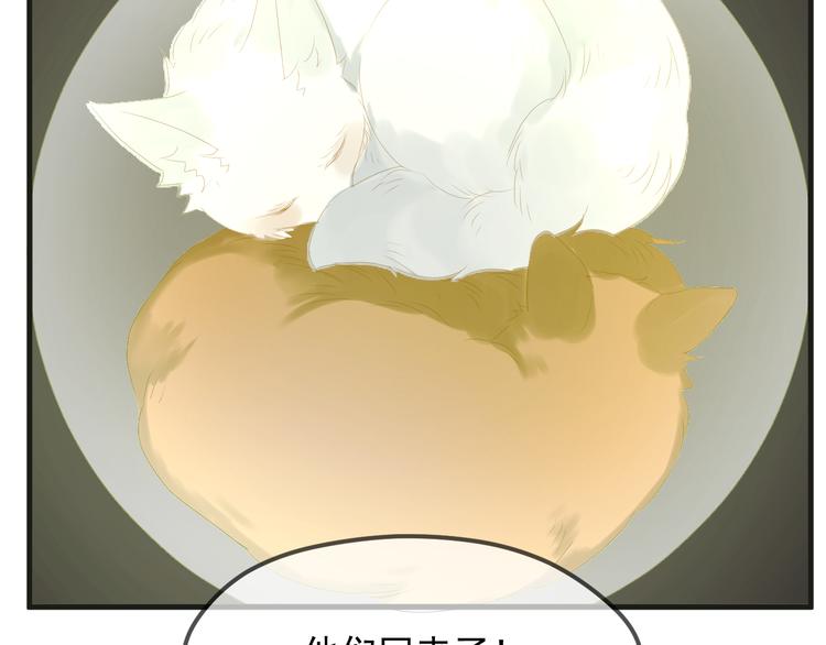 捡到只小狐狸韩漫全集-完结篇 新生无删减无遮挡章节图片 