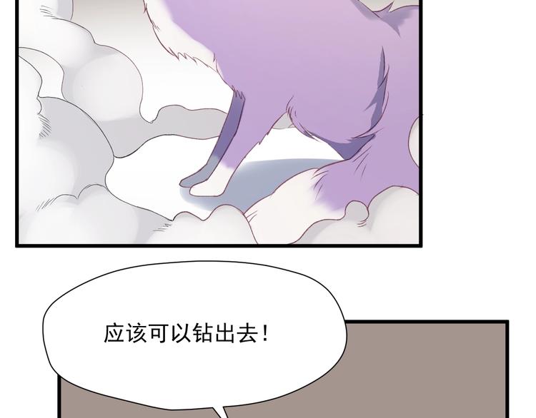 捡到只小狐狸韩漫全集-第5话  跳窗无删减无遮挡章节图片 