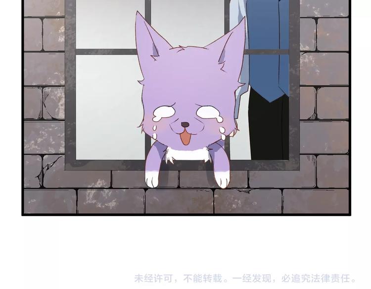 捡到只小狐狸韩漫全集-第5话  跳窗无删减无遮挡章节图片 