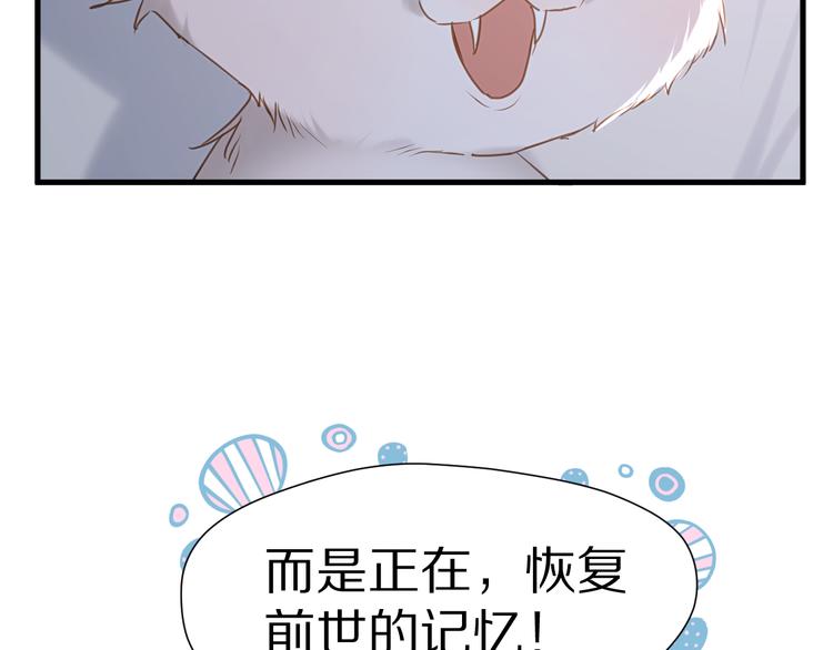 捡到只小狐狸韩漫全集-特别篇 第5话无删减无遮挡章节图片 