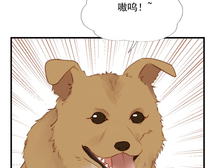 捡到只小狐狸韩漫全集-特别篇 第21话无删减无遮挡章节图片 