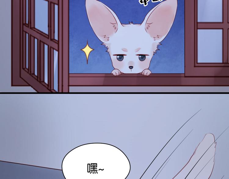 捡到只小狐狸韩漫全集-第52话 求婚无删减无遮挡章节图片 