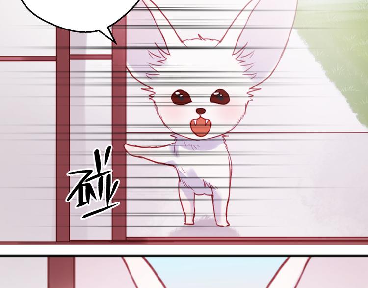 捡到只小狐狸韩漫全集-第75话 天赋这个东西无删减无遮挡章节图片 