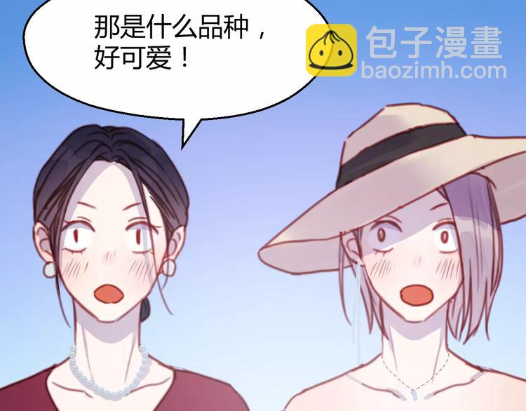 捡到只小狐狸韩漫全集-番外：最宠爱宠物的人无删减无遮挡章节图片 
