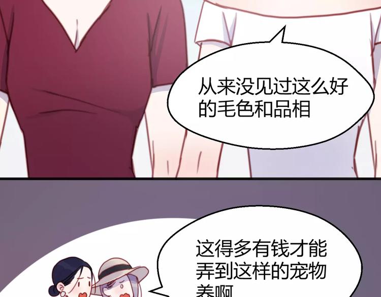 捡到只小狐狸韩漫全集-番外：最宠爱宠物的人无删减无遮挡章节图片 