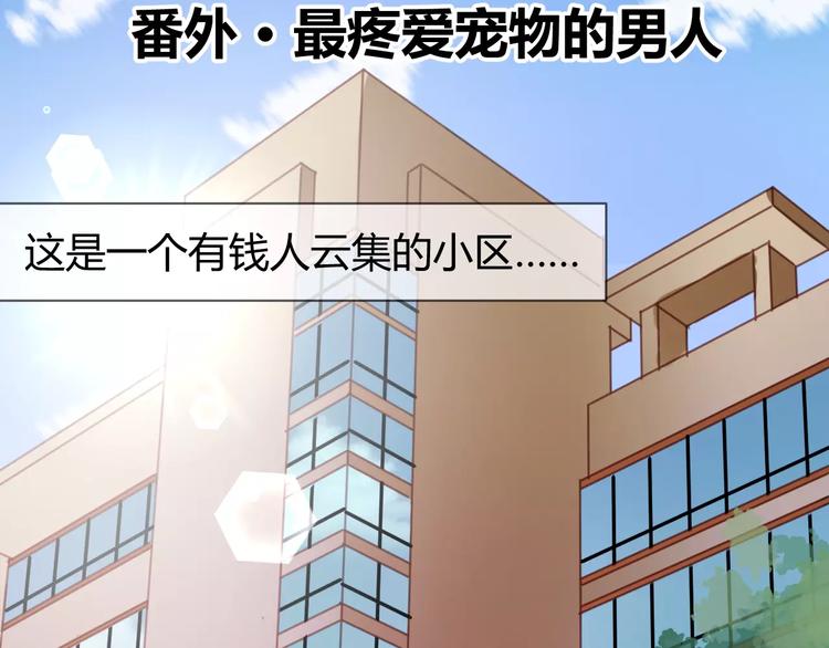 捡到只小狐狸韩漫全集-番外：最宠爱宠物的人无删减无遮挡章节图片 