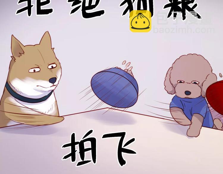 捡到只小狐狸韩漫全集-番外：最宠爱宠物的人无删减无遮挡章节图片 