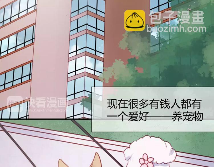 捡到只小狐狸韩漫全集-番外：最宠爱宠物的人无删减无遮挡章节图片 