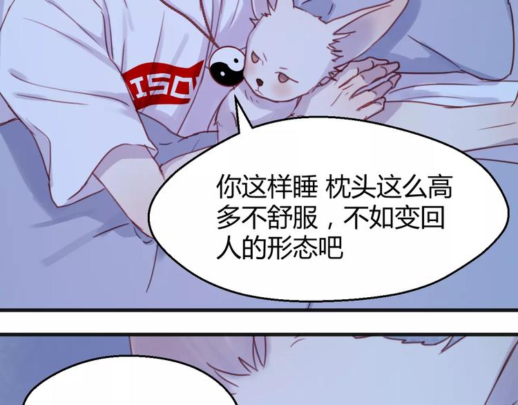 捡到只小狐狸韩漫全集-番外：最宠爱宠物的人无删减无遮挡章节图片 