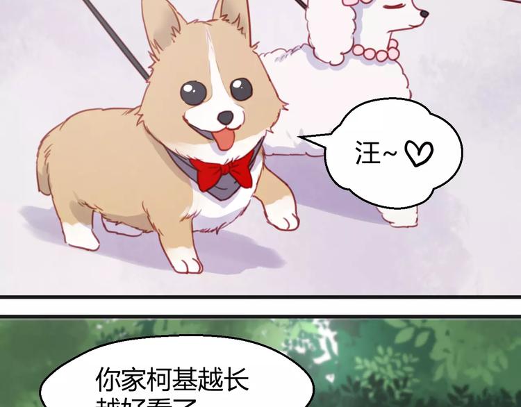 捡到只小狐狸韩漫全集-番外：最宠爱宠物的人无删减无遮挡章节图片 