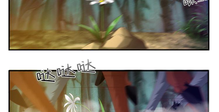 将军的小宠医韩漫全集-第1话 救命恩人？无删减无遮挡章节图片 
