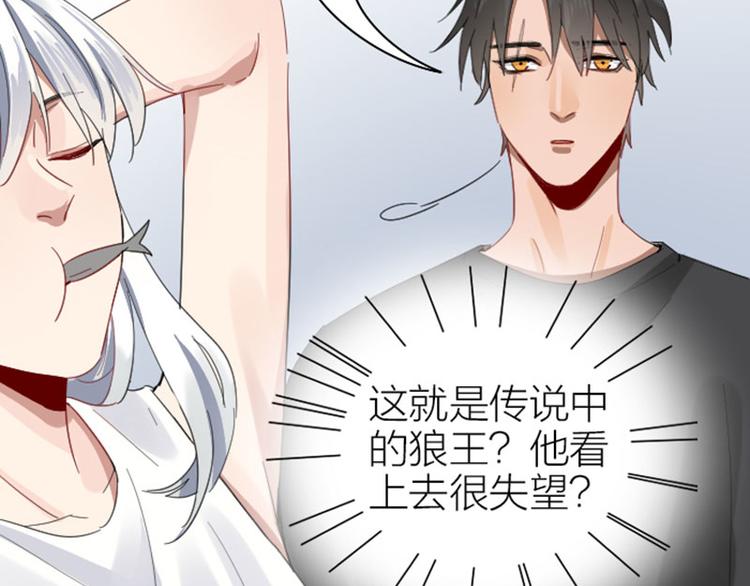 降智小甜饼韩漫全集-第262-263话 接受挑战！无删减无遮挡章节图片 