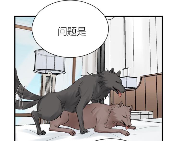 降智小甜饼韩漫全集-第270-271话 真实身份无删减无遮挡章节图片 