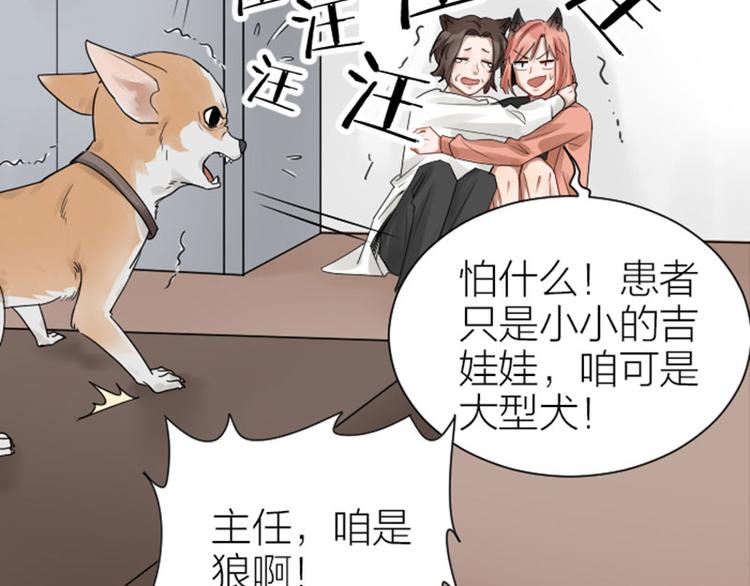 降智小甜饼韩漫全集-第272-273话 温暖的狗狗无删减无遮挡章节图片 